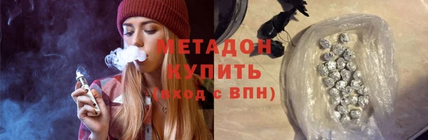 индика Арсеньев