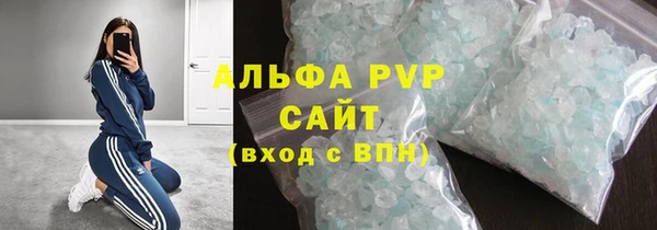 индика Арсеньев