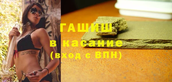 индика Арсеньев