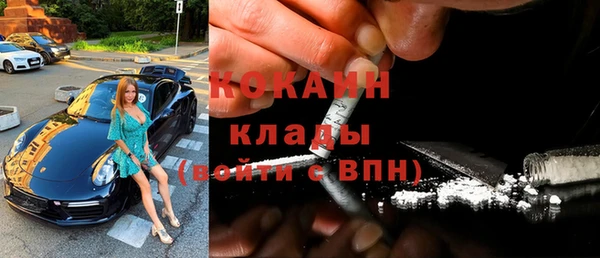 индика Арсеньев