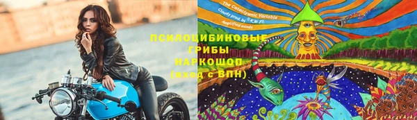 индика Арсеньев